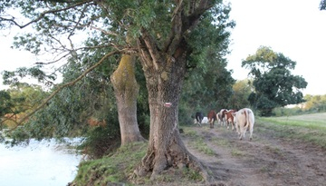 Ferme de Denée - Photo © Simon Coutand
